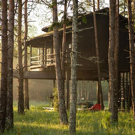 Villa Sambliku Treehouse à Jogisoo Extérieur photo