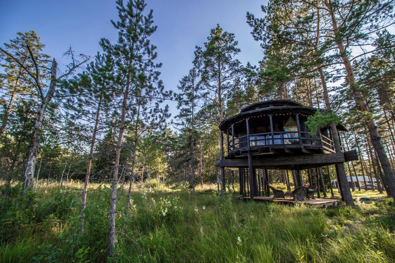 Villa Sambliku Treehouse à Jogisoo Extérieur photo