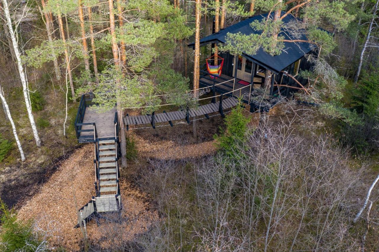 Villa Sambliku Treehouse à Jogisoo Extérieur photo