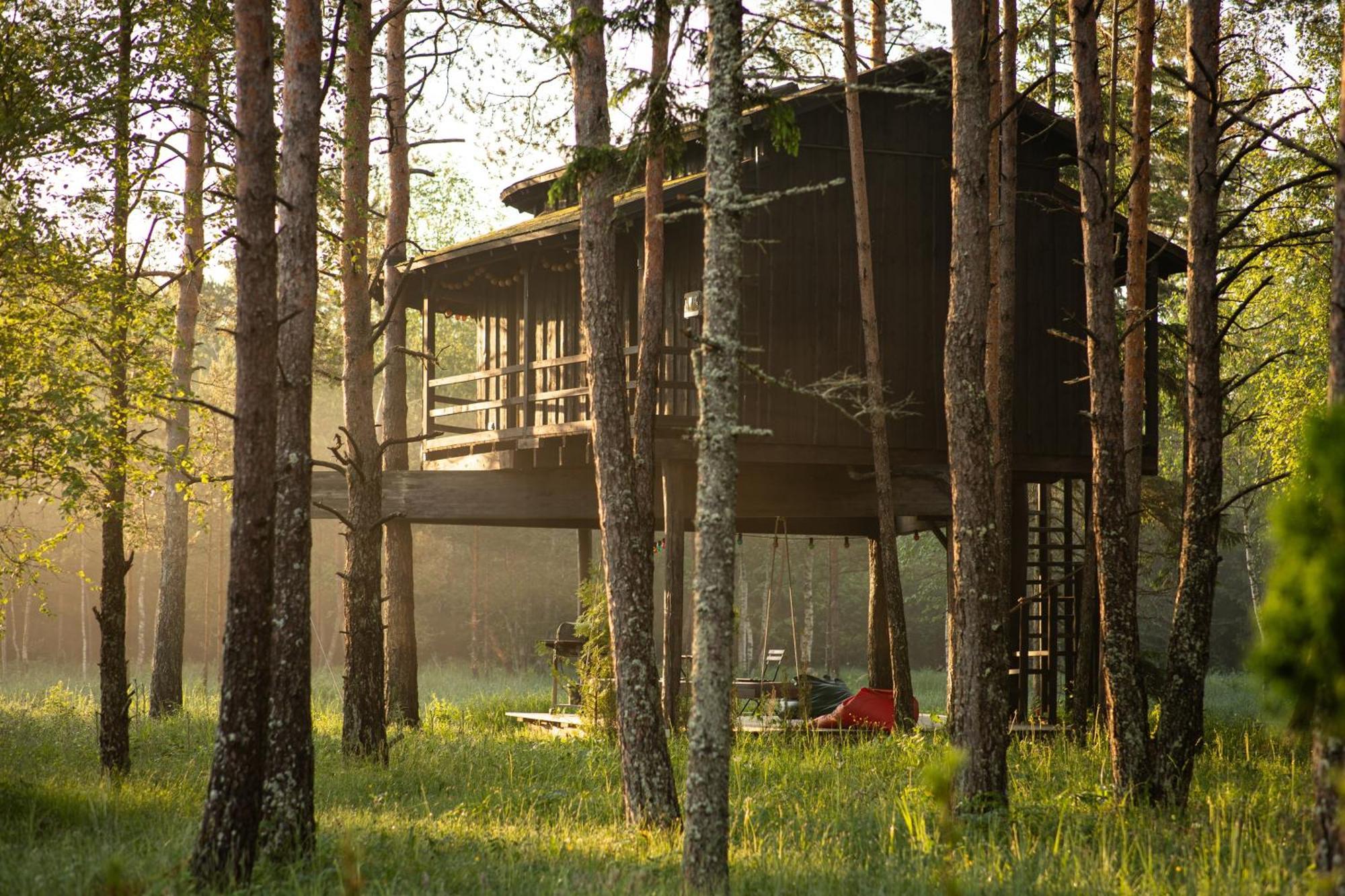 Villa Sambliku Treehouse à Jogisoo Extérieur photo
